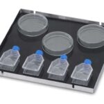 ACC 30400067 DMX ID 4294986635 jpg