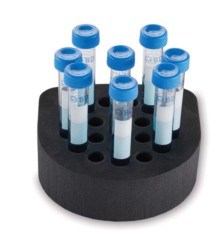 Wkład z pianki dla próbek (20) 15-18 mm