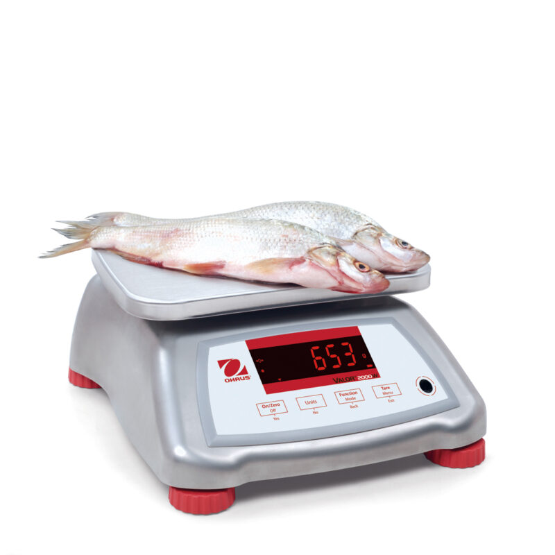Waga do żywności OHAUS Valor™ 2000 V22XWE1501T (1.5 kg / 0.2 g)