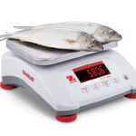 Waga wodoodporna OHAUS Valor 4000 do wazenia ryb widok z prawej strony