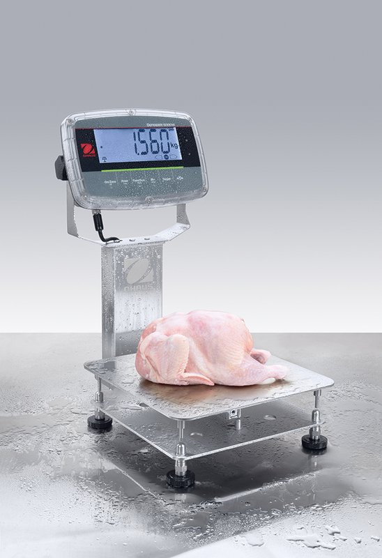 Waga Platformowa OHAUS Defender™ 6000 Hybrydowy i-D61PW150K1L7-M (150 kg / 50 g)