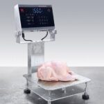 Defender 6000 DT61XWE Chicken Right