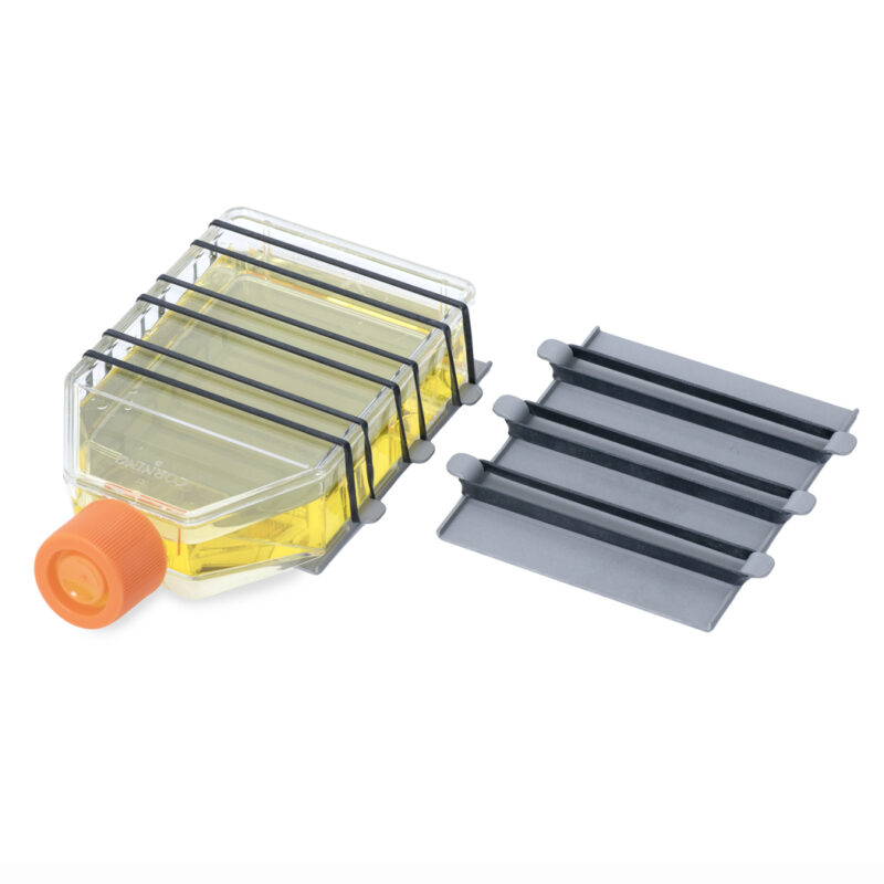 2 uniwersalne tablice